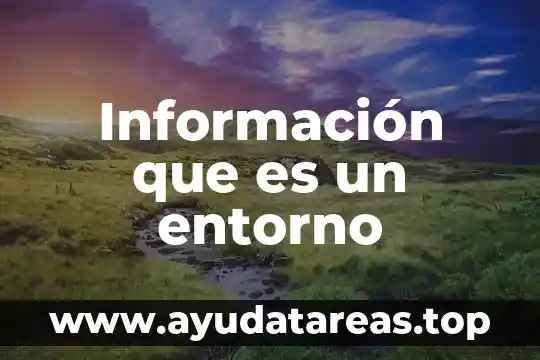 Sistema de monitoreo e informaci贸n Datatur que es 3 Informaci贸n que es un entorno