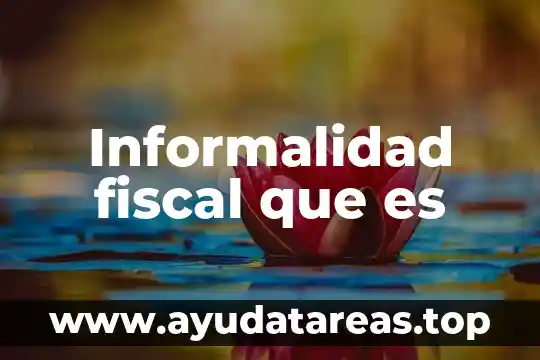 Informalidad fiscal que es