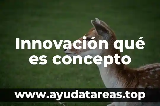 Que es nivel de innovacion 7 Innovaci贸n qu茅 es concepto