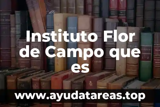 Que es la profundidad de campo en una camara 5 Instituto Flor de Campo que es