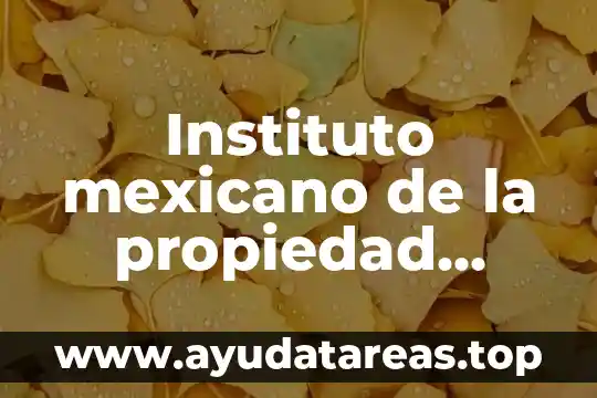 Instituto mexicano de la propiedad intelectual que es
