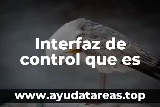 Qué es la interfaz de línea de comando 6 Interfaz de control que es