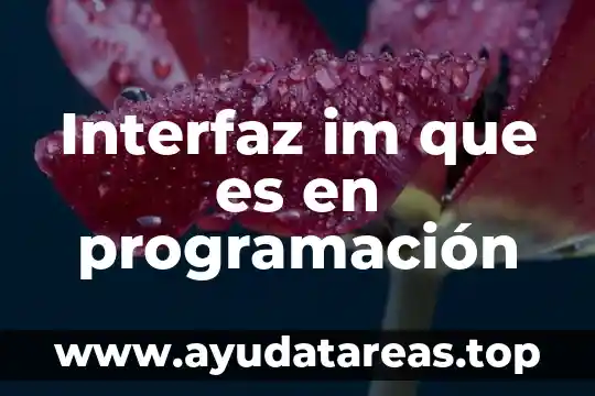 Que es la im en mexico 4 Interfaz im que es en programación