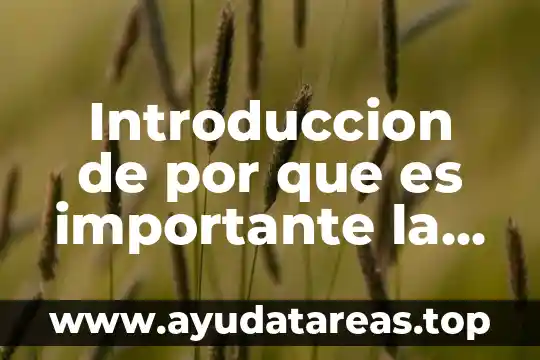 Introduccion de por que es importante la educacion