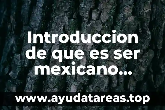 Introduccion de que es ser mexicano corto