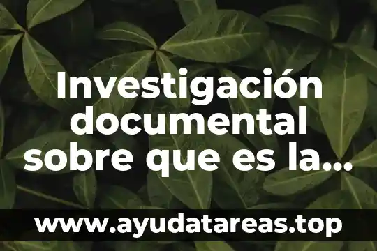 Que es tecnica documental 5 Investigación documental sobre que es la informática