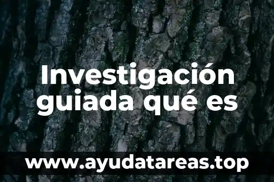 Investigación guiada qué es