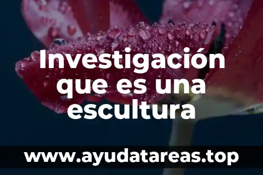 Que es observacion tecnica de investigacion 4 Investigación que es una escultura