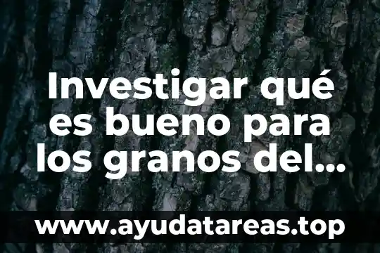 Que es catabolizar el cuerpo 4 Investigar qué es bueno para los granos del cuerpo