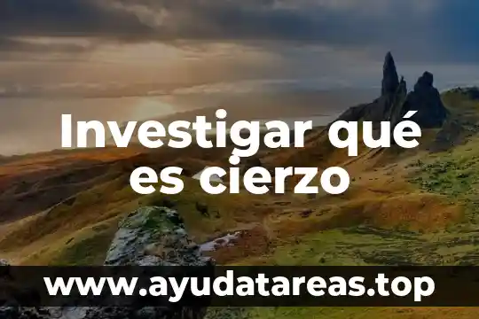 Investigar qué es un examen 7 Investigar qué es cierzo