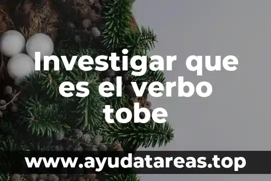 Investigar que es el verbo tobe