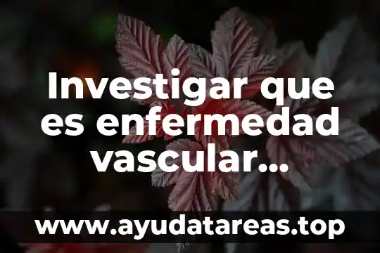Nivel vascular que es 4 Investigar que es enfermedad vascular cerebral