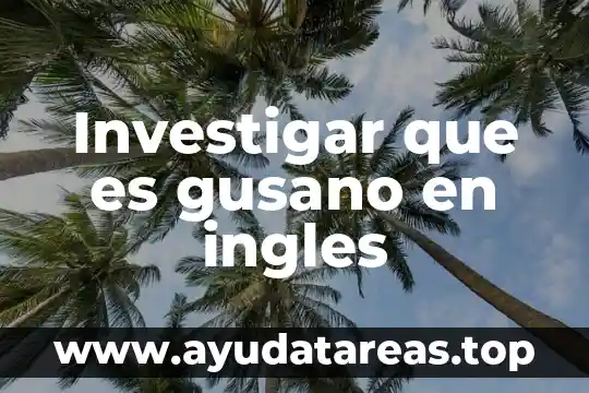Investigar que es una figura abstracta 6 Investigar que es gusano en ingles