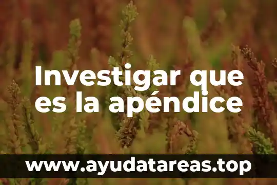 Investigar que es la apéndice