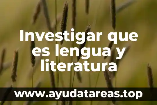 Investigar que es una figura abstracta 5 Investigar que es lengua y literatura