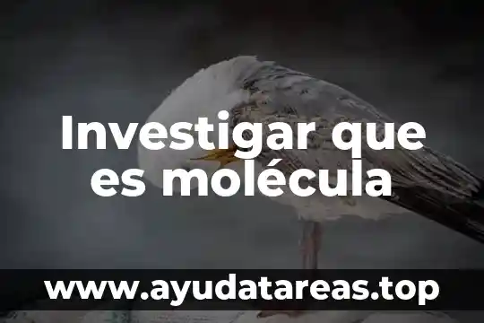 Investigar que es la frecuencia cardiaca f.c 4 Investigar que es molécula
