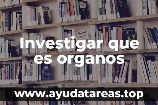 Investigar que es un verbo y un ejemplo 8 Investigar que es organos