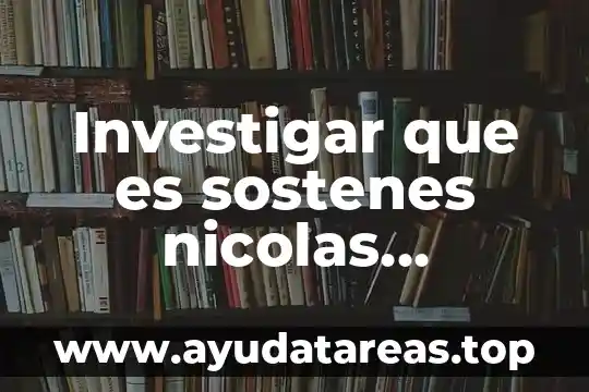 Investigar que es sostenes nicolas chapanieto
