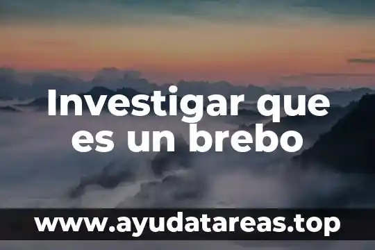Investigar qué es un examen 3 Investigar que es un brebo