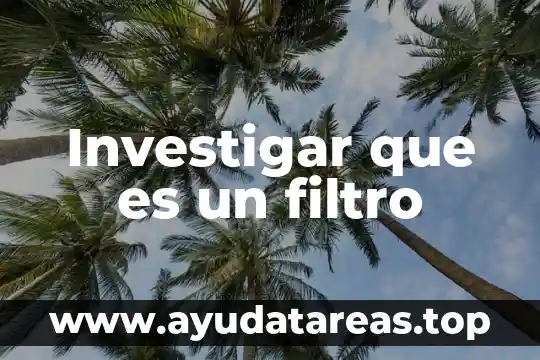 Investigar que es un verbo y un ejemplo 6 Investigar que es un filtro