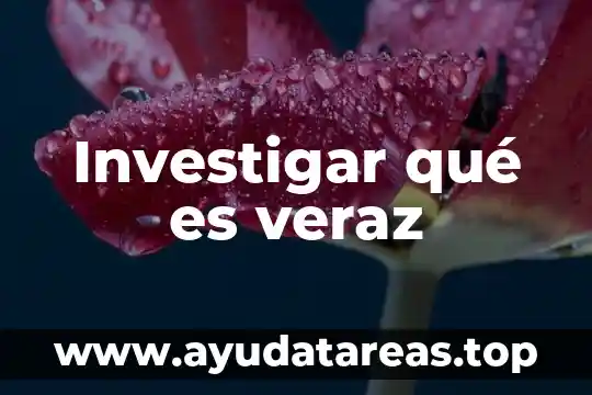 Investigar que es una figura abstracta 4 Investigar qué es veraz