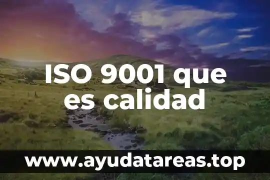 ISO 9001 que es calidad