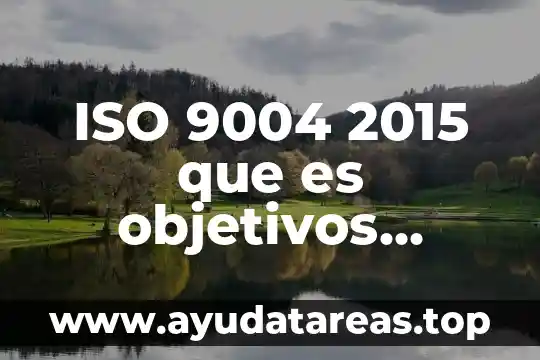 ISO 9004 2015 que es objetivos características y requerimientos