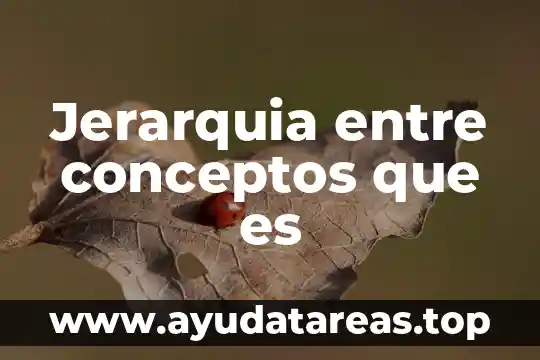 Qué es la jerarquía de matemáticas significado 6 Jerarquia entre conceptos que es