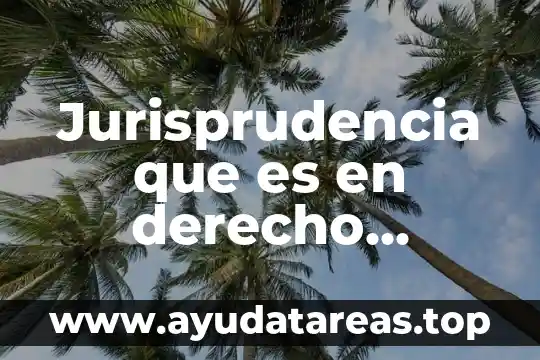 Que es sucesion y los tipos en derecho romano 6 Jurisprudencia que es en derecho romano