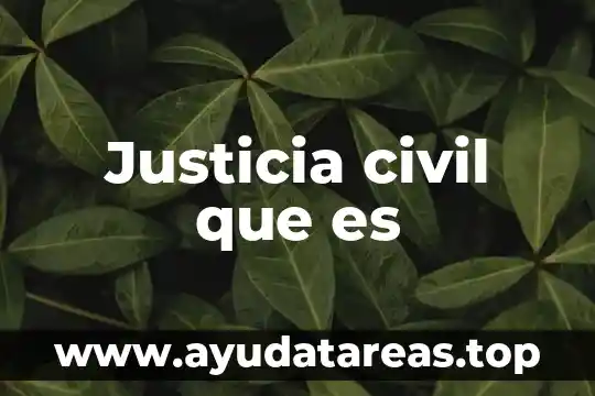 Justicia civil que es