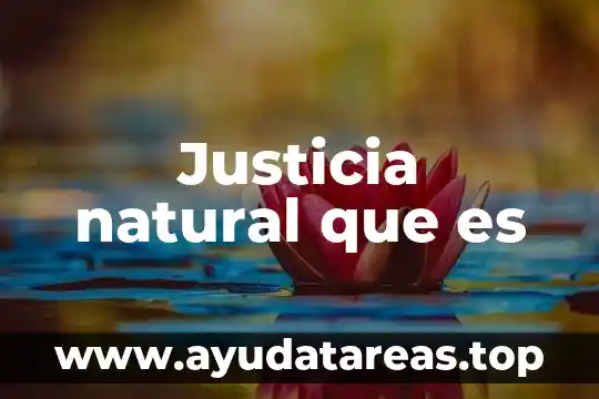 Justicia natural que es