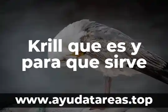 Qué es la navegador y su concepto 4 Krill que es y para que sirve