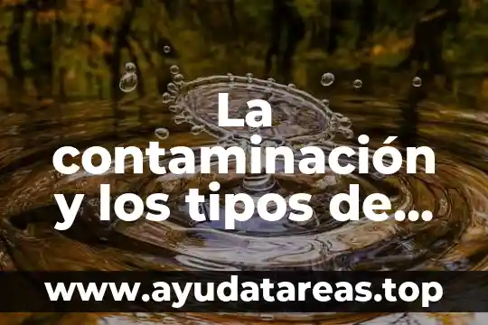 Qué es la contaminación ambiental y cómo combatirla 5 La contaminación y los tipos de contaminación