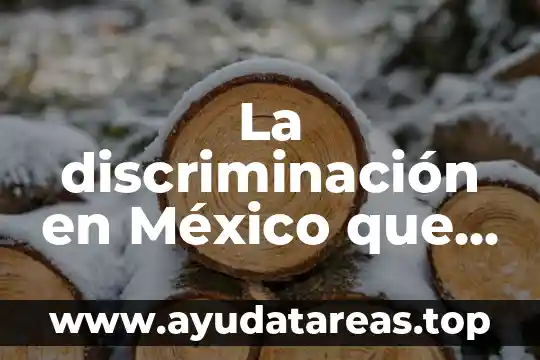 Qué es una madriguera significado 6 La discriminación en México que es significado definición