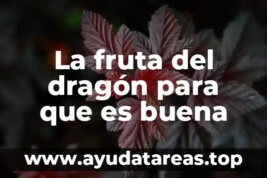 Para que es buena la agua de alcachofa 4 La fruta del dragón para que es buena