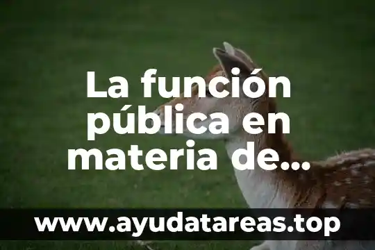 La función pública en materia de justicia que es