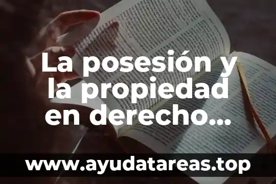 La posesión y la propiedad en derecho que es características