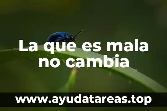 Que es el hedonismo calculado 8 La que es mala no cambia