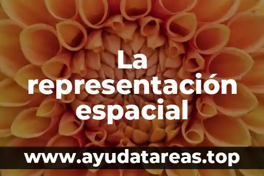 Que es representacion del conocimiento 5 La representación espacial