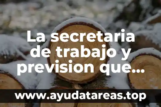 Que es mejor el dinero o el trabajo 7 La secretaria de trabajo y prevision que es