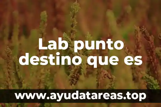 Lab punto destino que es