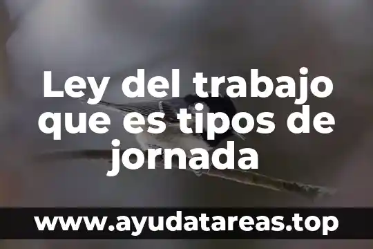 Jornada cultural que es 6 Ley del trabajo que es tipos de jornada
