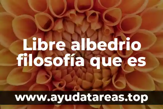 Que es libre comercio en etica 5 Libre albedrio filosofía que es