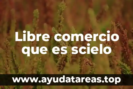 Libre comercio que es scielo