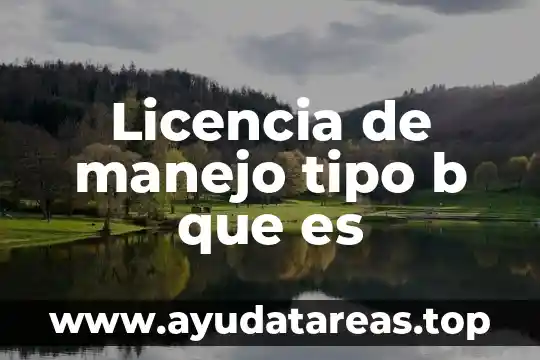 Licencia de manejo tipo b que es