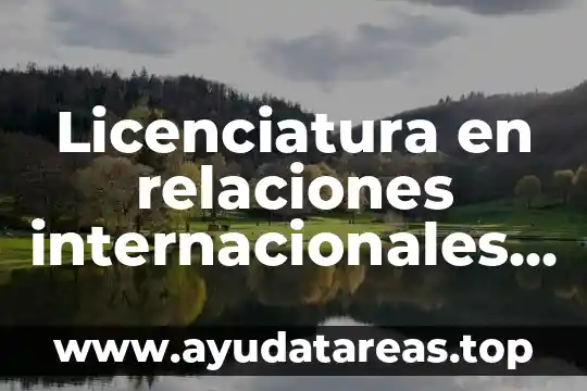 Licenciatura en relaciones internacionales que es