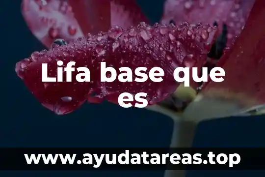 Lifa base que es