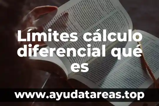 Que es concepto de funcion en calculo diferencial 3 Límites cálculo diferencial qué es