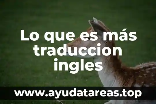 Que es widgets significado o traduccion 6 Lo que es más traduccion ingles