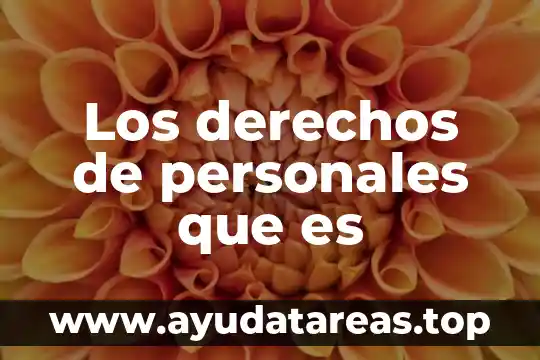 Los derechos de personales que es
